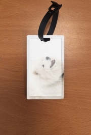 Attache adresse pour bagage samoyede dog