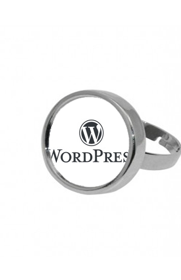 Bague Wordpress maintenance