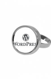Bague Wordpress maintenance