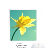 Classeur Rigide Daffodil