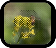 Enceinte bluetooth portable A bee in the yellow mustard flowers
