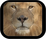 Enceinte bluetooth portable Africa Lion