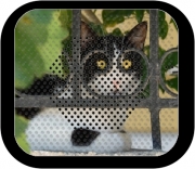 Enceinte bluetooth portable chat avec montures de lunettes, elle voit par la clôture en fer forgé