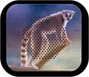 Enceinte bluetooth portable Cute painted Ring-tailed lemur