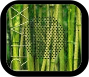 Enceinte bluetooth portable green bamboo