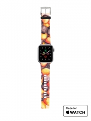 Bracelet pour Apple Watch The Bandit Squirrel