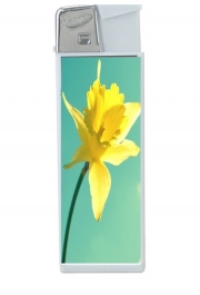 Briquet Daffodil