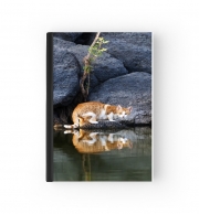 Cahier  Reflet chat dans l'eau d'un étang 