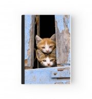 Cahier Petits chatons mignons à la fenêtre ancienne