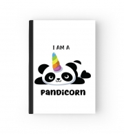 Cahier Panda x Licorne Means Pandicorn