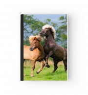 Cahier Deux chevaux islandais cabrés, jouent ensemble dans le pré