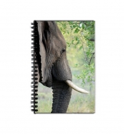 Cahier de texte Elephant