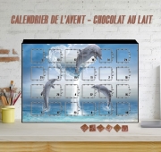 Calendrier de l'avent The Heart Of The Dolphins