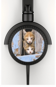 Casque Audio Petits chatons mignons à la fenêtre ancienne