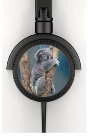 Casque Audio Koala Bear Australia