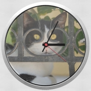 Horloge Murale chat avec montures de lunettes, elle voit par la clôture en fer forgé