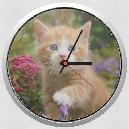 Horloge Murale Bébé chaton mignon marbré rouge dans le jardin