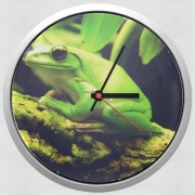 Horloge Murale Green Frog