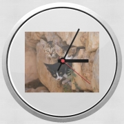 Horloge Murale Trois petits chatons mignons dans un orifice d'un mur