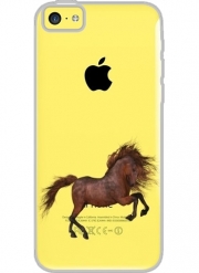 Coque Iphone 5C Transparente A Horse In The Sunset