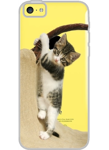 Coque Iphone 5C Transparente Bébé chat, mignon chaton escalade