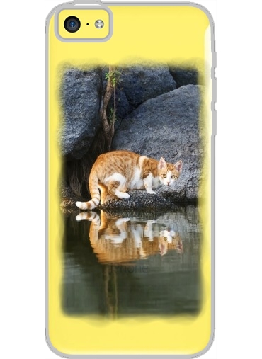 Coque Iphone 5C Transparente  Reflet chat dans l'eau d'un étang 