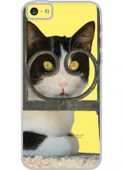 Coque Iphone 5C Transparente chat avec montures de lunettes, elle voit par la clôture en fer forgé