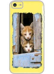 Coque Iphone 5C Transparente Petits chatons mignons à la fenêtre ancienne