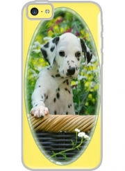Coque Iphone 5C Transparente chiot dalmatien dans un panier