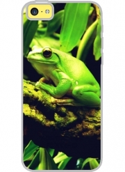 Coque Iphone 5C Transparente Green Frog