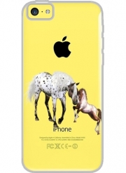 Coque Iphone 5C Transparente Amour cheval pour toujous