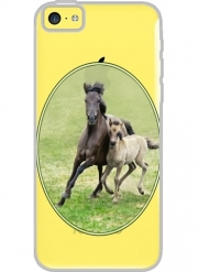 Coque Iphone 5C Transparente Chevaux poneys poulain