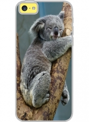 Coque Iphone 5C Transparente Koala Bear Australia