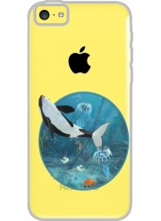 Coque Iphone 5C Transparente Baleine Orca