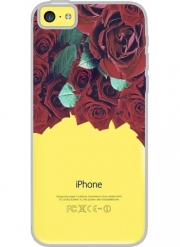 Coque Iphone 5C Transparente Roses