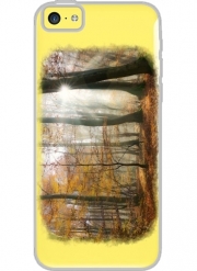 Coque Iphone 5C Transparente Rayons de soleil en foret brumeuse mystique