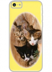 Coque Iphone 5C Transparente Trois petits chatons mignons dans un orifice d'un mur