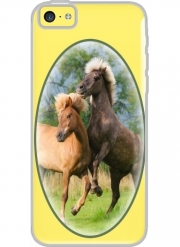 Coque Iphone 5C Transparente Deux chevaux islandais cabrés, jouent ensemble dans le pré