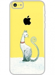 Coque Iphone 5C Transparente Winter Cat