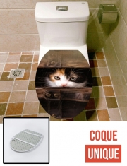 Housse de toilette - Décoration abattant wc Little cute kitten in an old wooden case