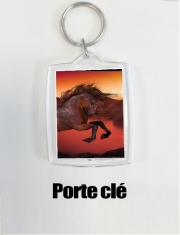 Porte clé photo A Horse In The Sunset
