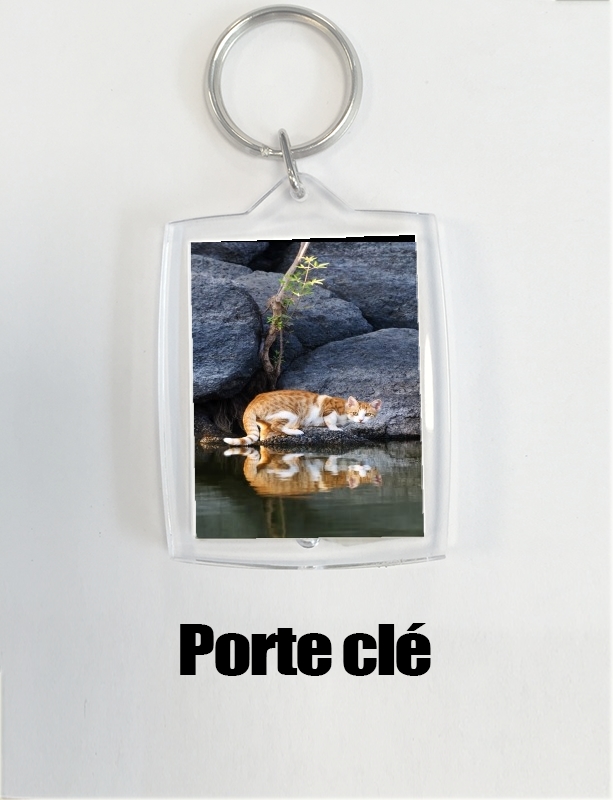 Porte clé photo  Reflet chat dans l'eau d'un étang 
