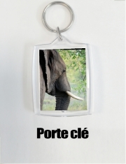 Porte clé photo Elephant
