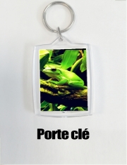 Porte clé photo Green Frog