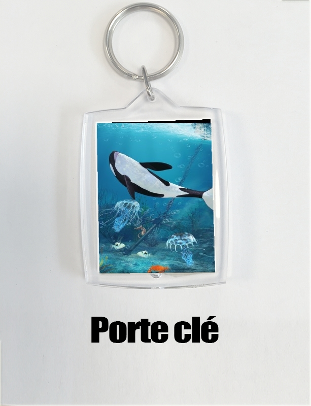 Porte clé photo Baleine Orca