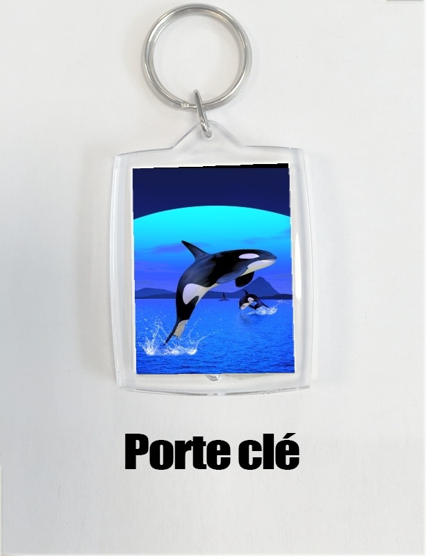 Porte clé photo Baleine