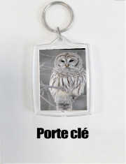 Porte clé photo owl bird on a branch