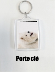 Porte clé photo samoyede dog