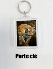 Porte clé photo Siberian tiger
