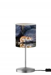 Lampe de table  Reflet chat dans l'eau d'un étang 